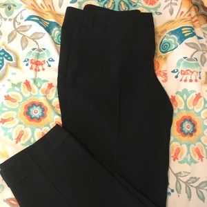 Express Editor Slacks.